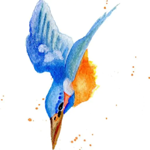 Kingfisher - Unframed Portrait